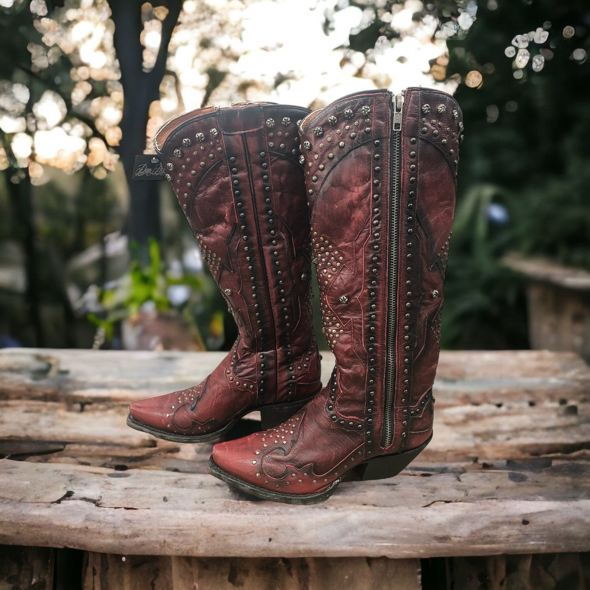 Dan Post Daredevil MFDP4352 Women's Leather Snip Toe Western Boots