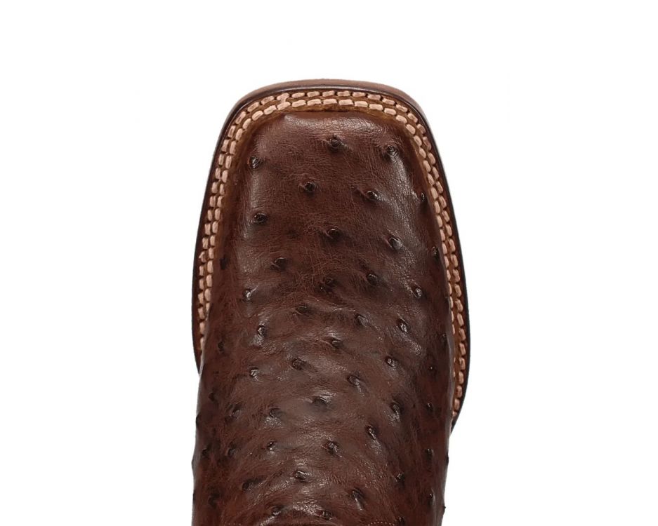 Dan Post DP5250 Women's Kylo Chocolate Full Quill Ostrich Square Toe Cowgirl Boots